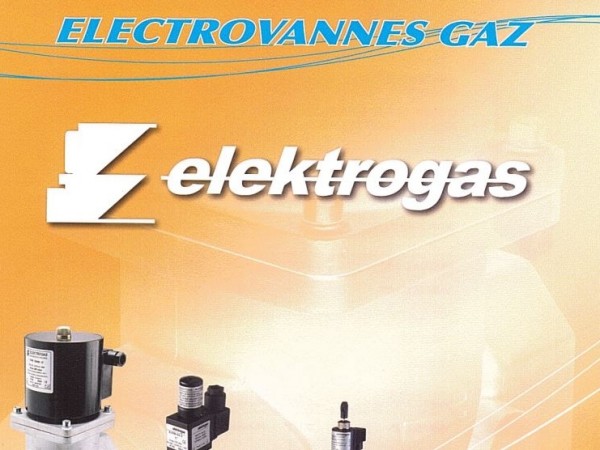 En savoir plus Electrovannes gaz